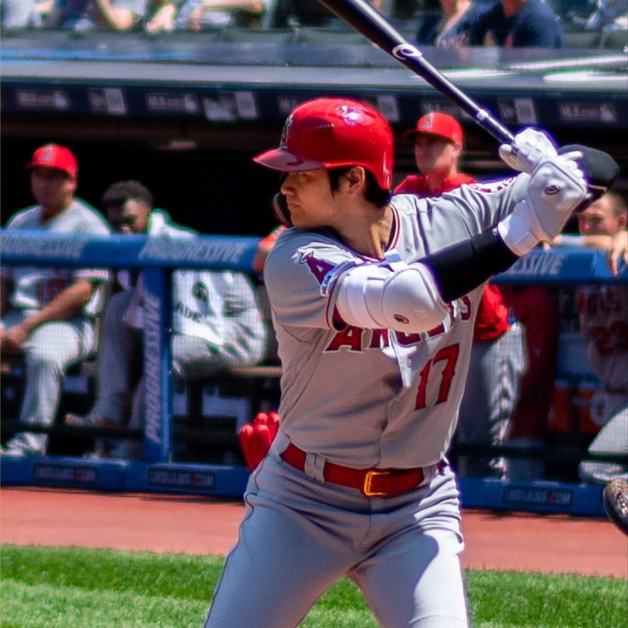Shohei Ohtani
