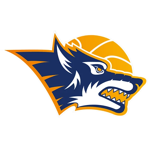 Rostock Seawolves