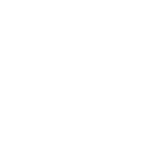 Lyon Villeurbanne
