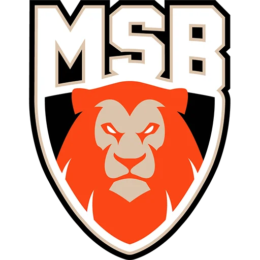 Le Mans Sarthe Basket