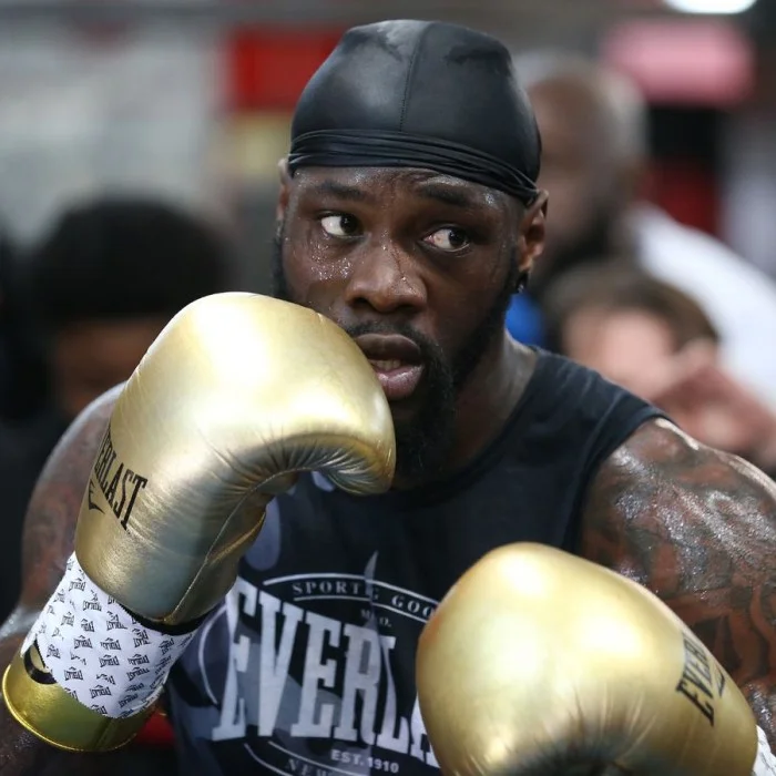 Deontay Wilder logo