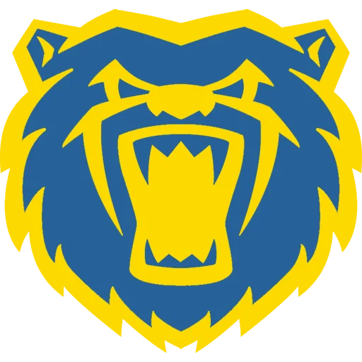 Birmingham Bears