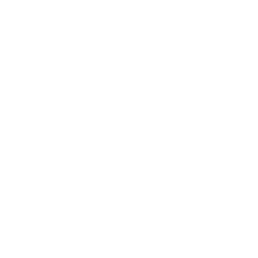 Somerset T20