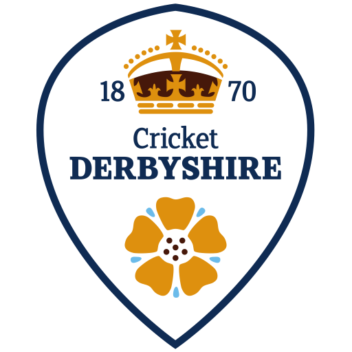 Derbyshire Falcons logo