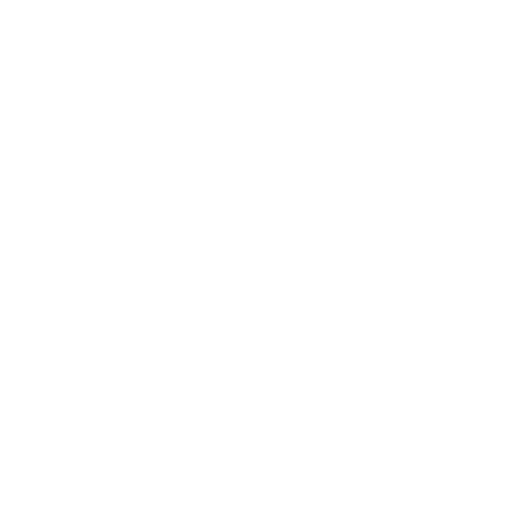 Randers Fc