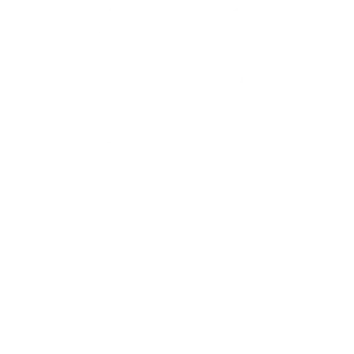 Zebre